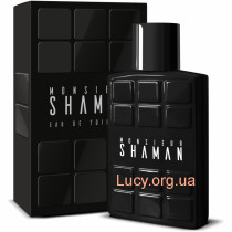 Туалетная вода для мужчин Corania Parfums Shaman Monsier 100 мл (MM35404)