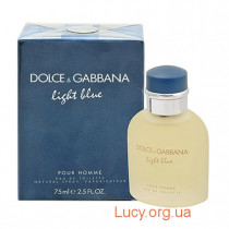 Dolce & Gabbana Light Blue Pour Homme Туалетная вода 125 мл (тестер)