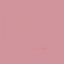 E.L.F. Лайнер для губ E.L.F. Studio Matte Lip Color  Tea Rose - 82463 1