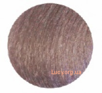 KayColor крем-краска 100мл 12.2 суперсветлый фиолетовый блонд