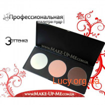 Make Up Me Професійна палітра пудр Make Up Me - P3-1, 3 відтінки 1