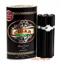 PARFUMS PAROUR Cigar Black Wood 100мл Туалетна вода
